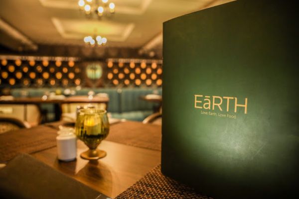 Image of Earth Veg