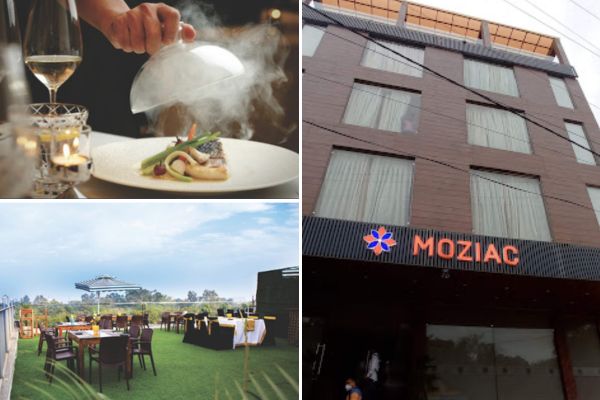 Image of THE MOZIAC GROUP