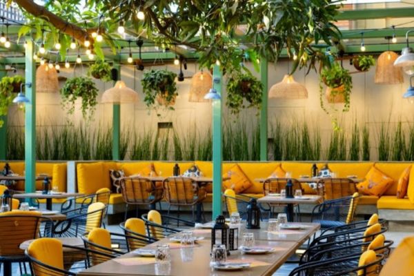 Image of SALT - Indian Restaurant Bar & Grill