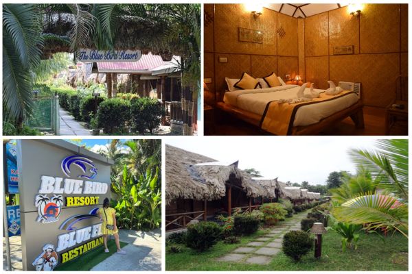 Image of Blue Bird Resort