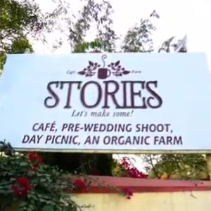 Aranya By Stories